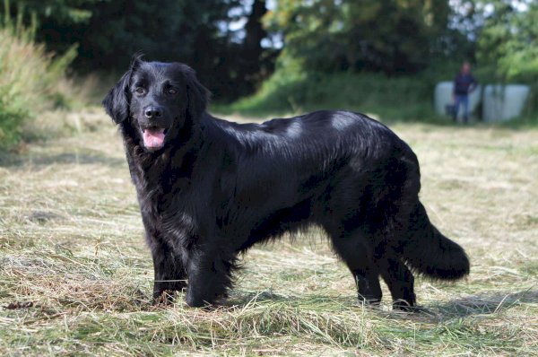 Katinka von den Nornen