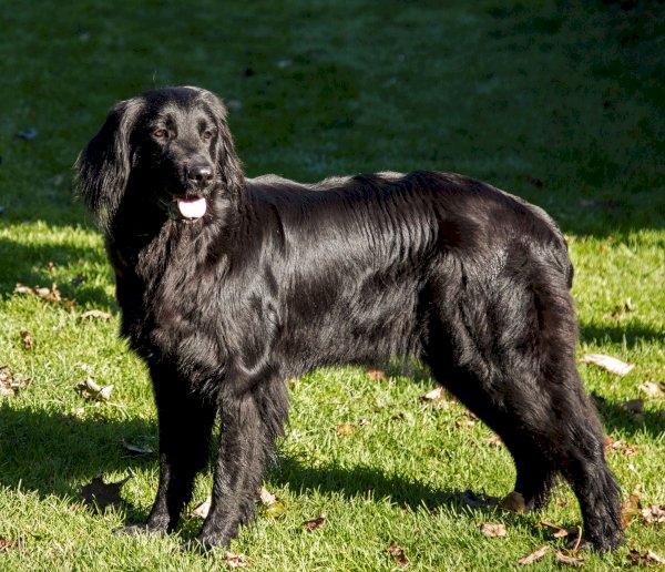 Quebelle von den Nornen