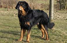 Big Boy vom Brodtener Ufer