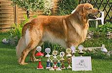 Janbo von der Asseburg